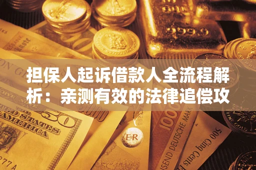 武汉担保人起诉借款人全流程解析：亲测有效的法律追偿攻略