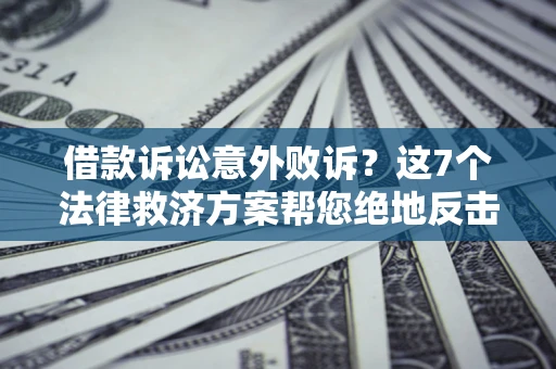 武汉借款诉讼意外败诉？这7个法律救济方案帮您绝地反击！