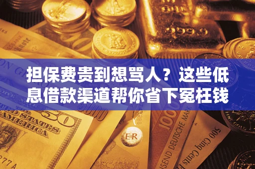 武汉担保费贵到想骂人？这些低息借款渠道帮你省下冤枉钱