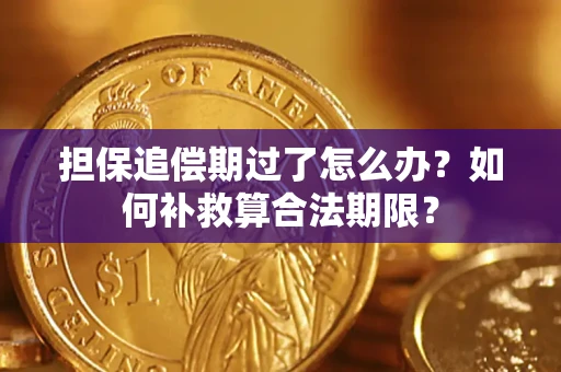武汉担保追偿期过了怎么办？如何补救算合法期限？