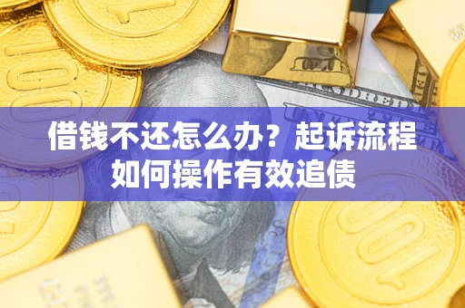 武汉借钱不还怎么办？起诉流程如何操作有效追债