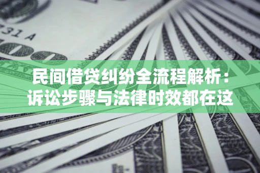 武汉民间借贷纠纷全流程解析：诉讼步骤与法律时效都在这儿了