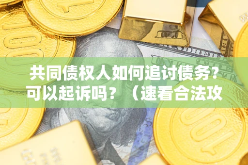 武汉共同债权人如何追讨债务？可以起诉吗？（速看合法攻略）