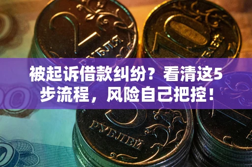 武汉被起诉借款纠纷？看清这5步流程，风险自己把控！