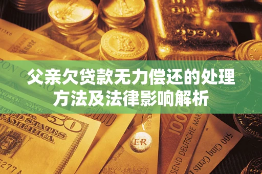 武汉父亲欠贷款无力偿还的处理方法及法律影响解析