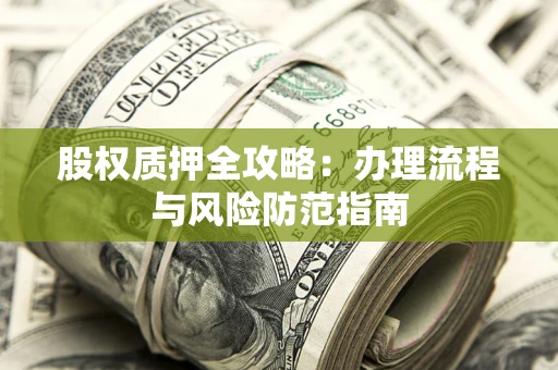 武汉股权质押全攻略：办理流程与风险防范指南